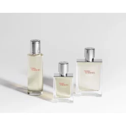 Hermès Hermès Terre d'Hermès Eau Givrée Eau de Parfum Spray