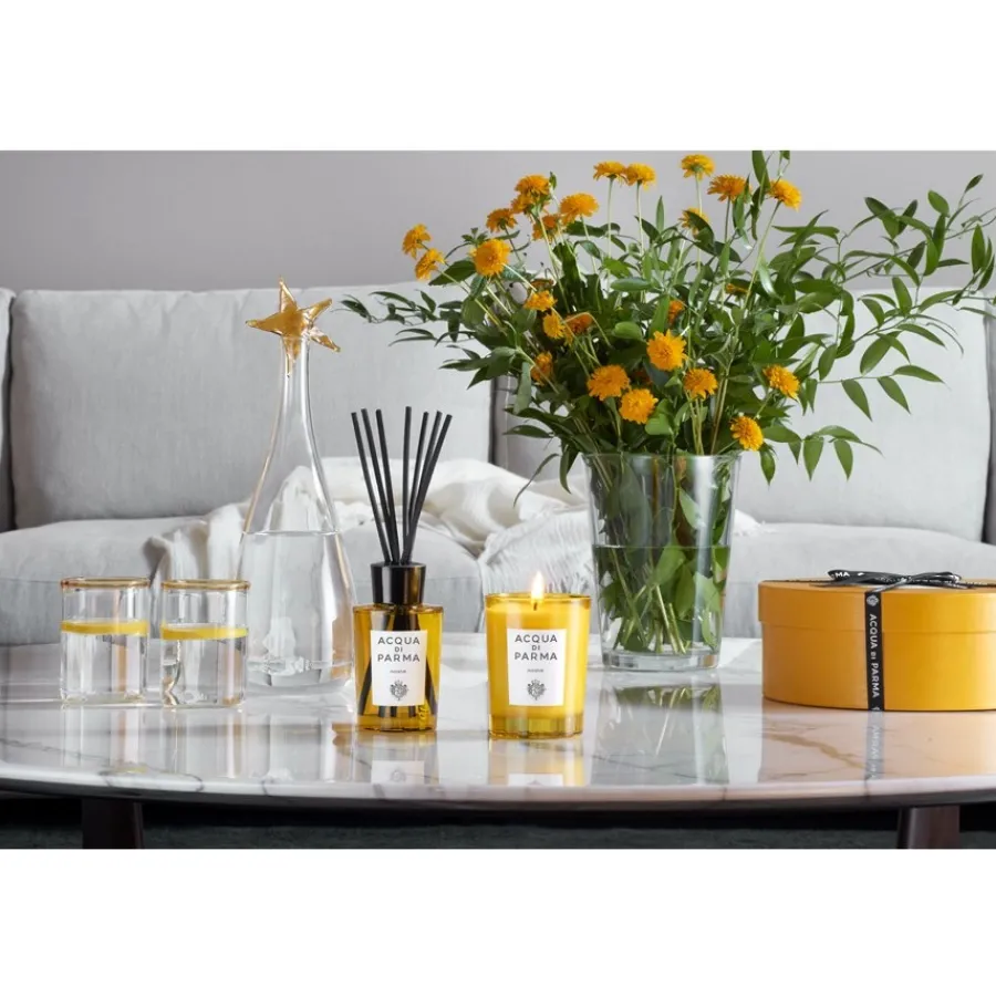 Acqua di Parma Home Collection Diffusor Insieme von Hot