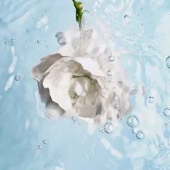 CHANEL HYDRA BEAUTY HYDRA BEAUTY MICRO SÉRUM Feuchtigkeitsspendend ausgleichend aufpolsternd von Outlet