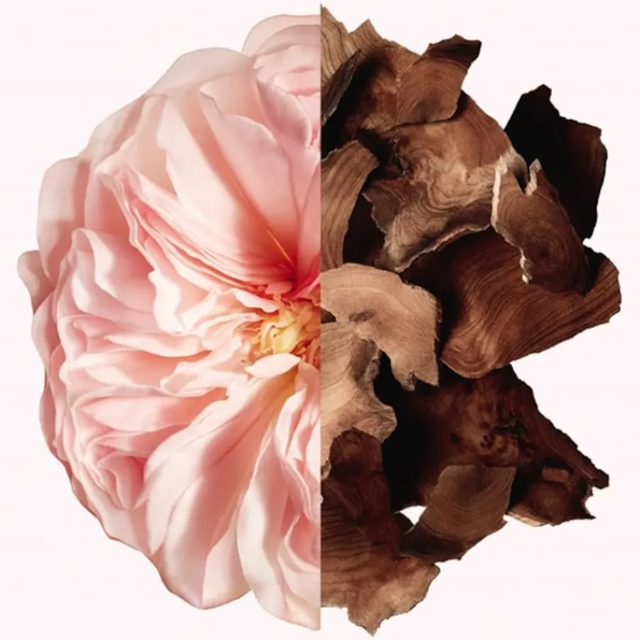 GIVENCHY IRRÉSISTIBLE The Shower Oil von