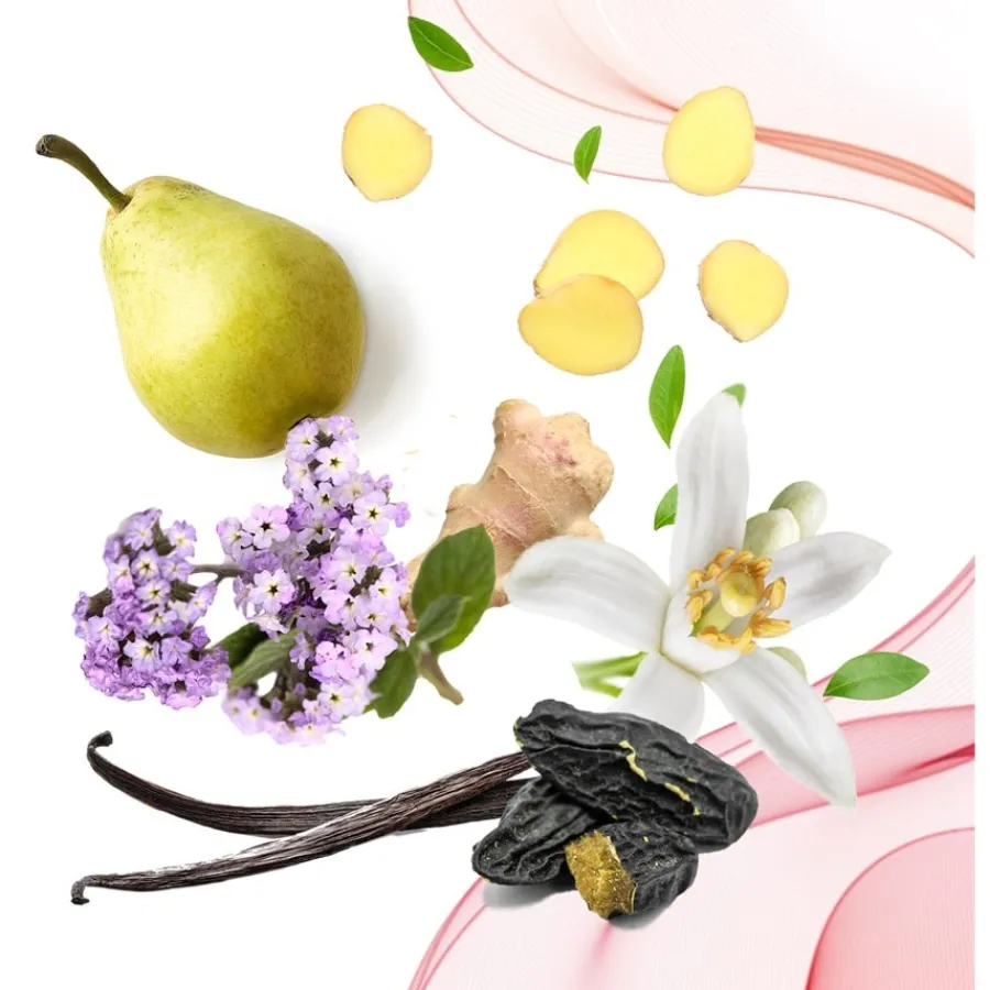 Annayake Kagari for Her Eau de Parfum Spray von Outlet