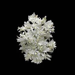 Kilian Paris Good girl gone Bad by Kilian Fruity Floral Perfume Spray Refill