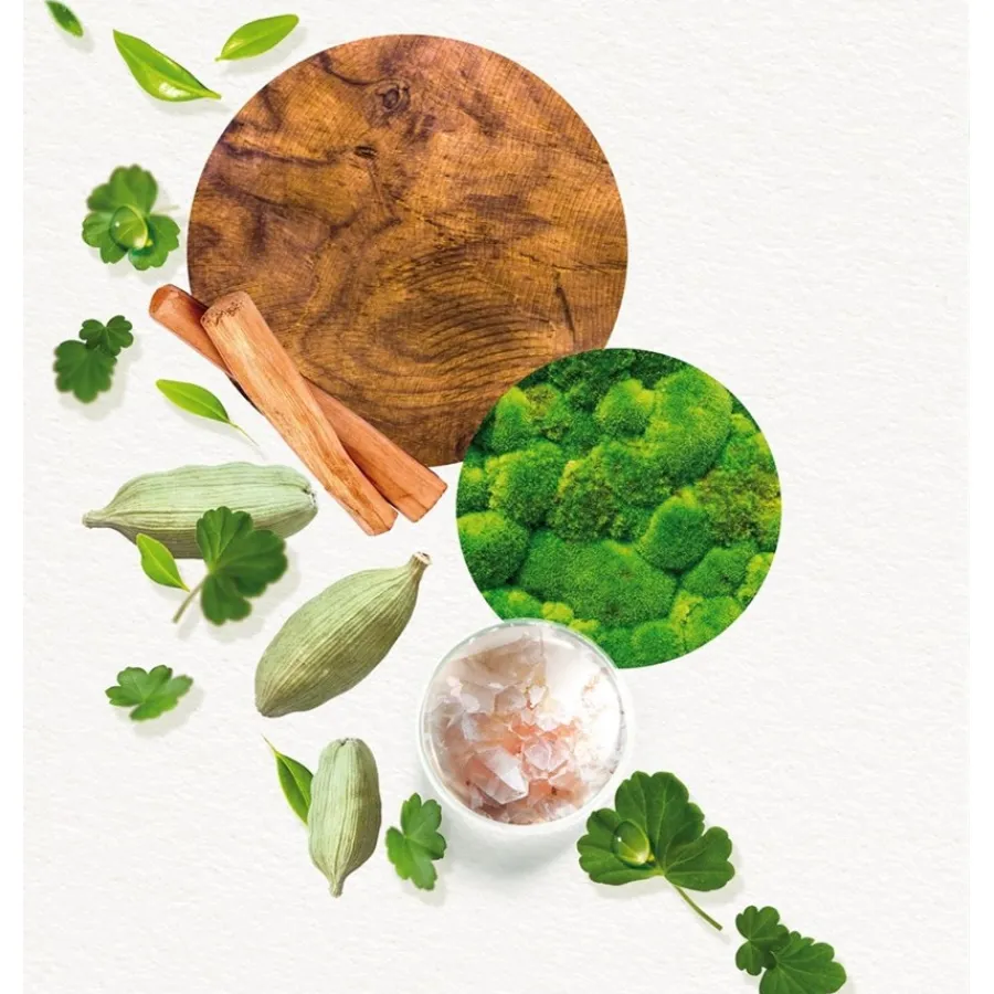 Annayake KOGAÏ for Man Eau De Toilette Spray von