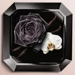 Lancu00F4me La Nuit Trésor Eau de Parfum Spray von Lancôme