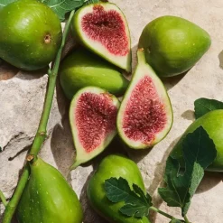 Dolceu0026Gabbana Light Blue pour homme Eau de Parfum Spray Capri in Love von Dolce&Gabbana