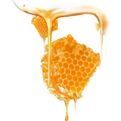 Foreo Maskenbehandlung UFO Mask Manuka Honey von