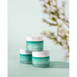 Mizon Cicaluronic Moisturizer