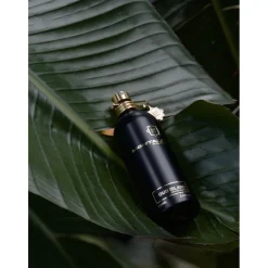 Montale Oud Oud Island Eau de Parfum Spray