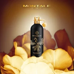 Montale Oud Oudrising Eau de Parfum Spray Hot