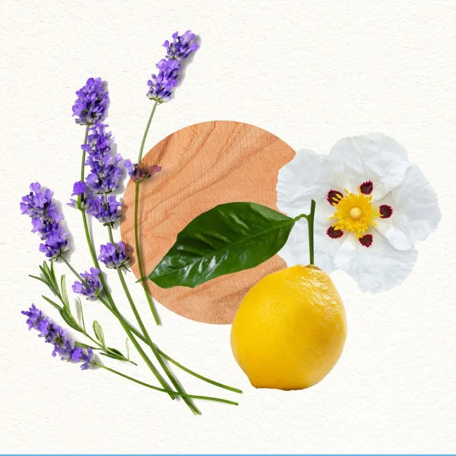 Annayake Mood for Colors Him Eau de Toilette Spray Limited Edition von