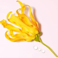 Armani My Way Eau de Parfum Spray Ylang von