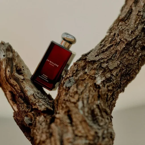 Jo Malone London Myrrh & Tonka Cologne Intense von Hot