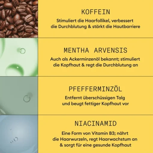 Nioxin Naturbelassenes, dezent dünner werdendes Haar 3-Stufen Set von