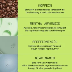 Nioxin Naturbelassenes, sichtbar dünner werdendes Haar  Scalp Therapy Revitalising Conditioner Natural Hair Progressed Thinning von