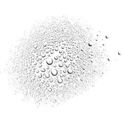 Payot Nue Brume Tonique Douceur von