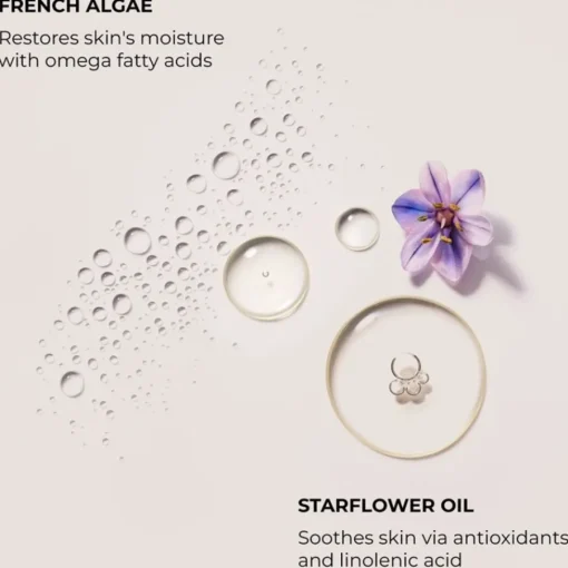 Laura Mercier Néroli du Sud Serum Body Cream von