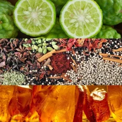 Calvin Klein Obsession Eau de Parfum Spray von