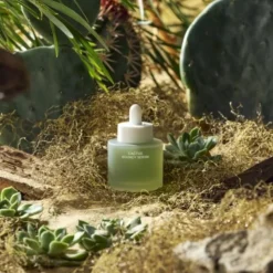 WHAMISA Oil Bouncy Serum von