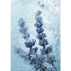 Maison Crivelli Olfactory Experiences Eau de Parfum Spray Absinthe Boréale von