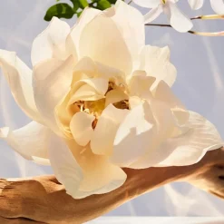 Bvlgari Omnia Eau de Parfum Spray von Outlet