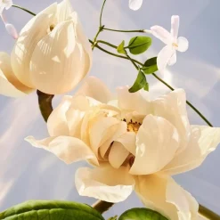 Bvlgari Omnia Eau de Parfum Spray von Outlet