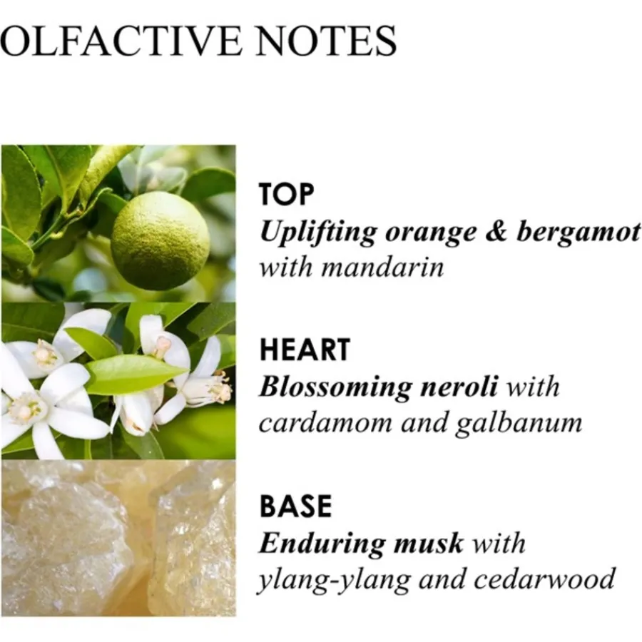 Molton Brown Orange & Bergamot Aroma Reeds Diffuser von