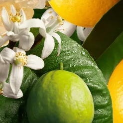 Molton Brown Orange & Bergamot Hand Lotion von Sale