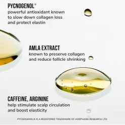 COLOR WOW Pflege Collagen Scalp Serum von Discount