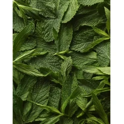 Ralph Lauren Polo Sport Man Eau de Toilette Spray von Clearance