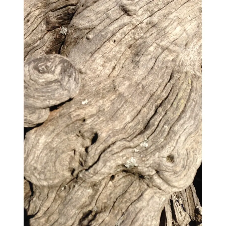 u00C9lisire Première Extrait de Parfum JASMIN PARADIS von Élisire