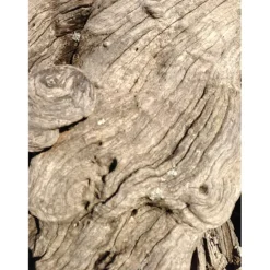 u00C9lisire Première Extrait de Parfum JASMIN PARADIS von Élisire