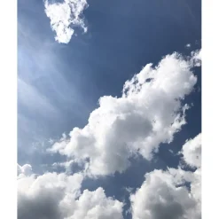 u00C9lisire Première Extrait de Parfum JASMIN PARADIS von Élisire