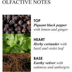 Molton Brown Re-Charge Black Pepper Aroma Reeds von