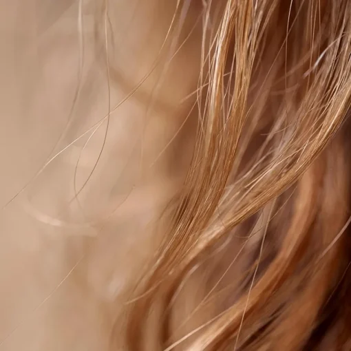 HAIR RITUEL by Sisley Regenerieren & Stärken Intense Nutrition Hair Care Mask von Clearance