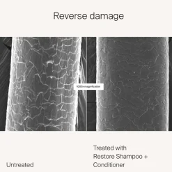 Living Proof Restore Conditioner von Discount