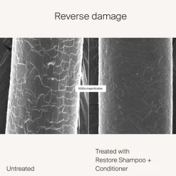 Living Proof Restore Conditioner von Discount