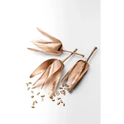 Tiffany u0026 Co. Rose Gold Eau de Parfum Spray von Tiffany & Co.