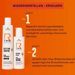 Schwarzkopf Professional R-TWO Resetting Shampoo von