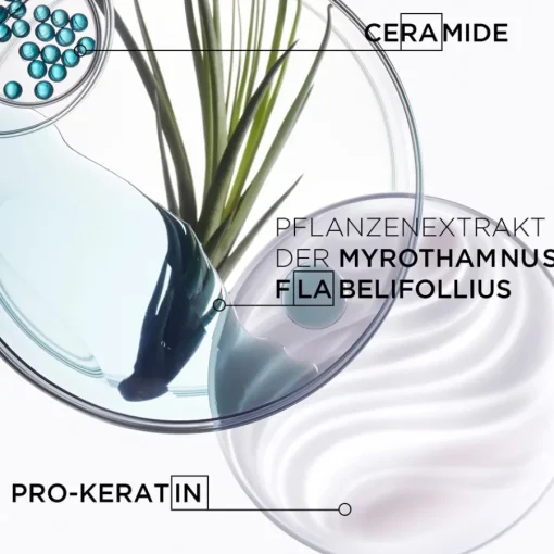 Ku00E9rastase Résistance Bain de Force Architecte von Kérastase New