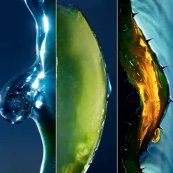 DIOR Sauvage Gesichtsserum Mit der Kraft des Kaktus von