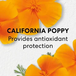 bareMinerals Seren Long Life Day Serum von Online