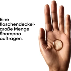 Lu2019Oru00E9al Professionnel Paris Serie Expert Scalp Advanced Anti-Oiliness Dermo-purifier Shampoo von L’Oréal Professionnel Paris