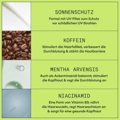 Nioxin Sichtbar dünner werdendes Haar Scalp & Hair Treatment Natural Hair Progressed Thinning von