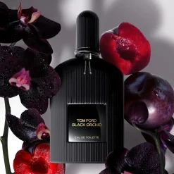 Tom Ford Signature Eau de Toilette Spray von Outlet