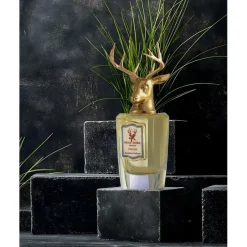 Pana Dora Sweden Stricker Eau de Parfum Spray von Outlet