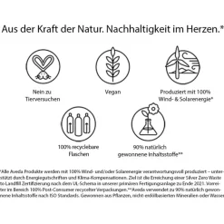 Aveda Styling Style-Prep Smoother Smooth Infusion von Outlet