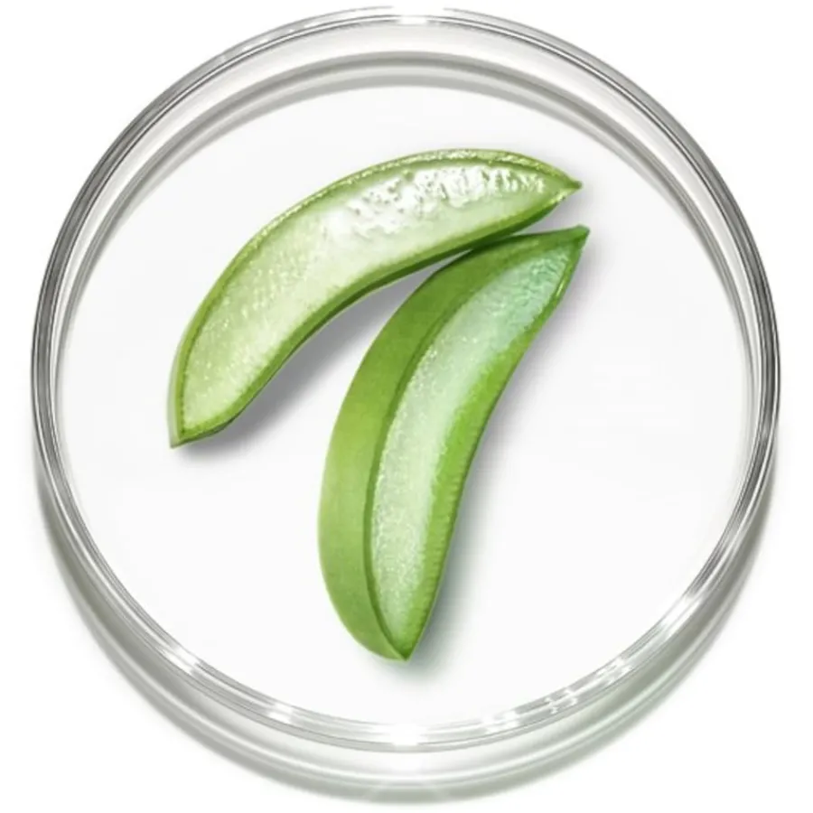 Lancu00F4me Tagescreme Hydra Zen Glow von Lancôme