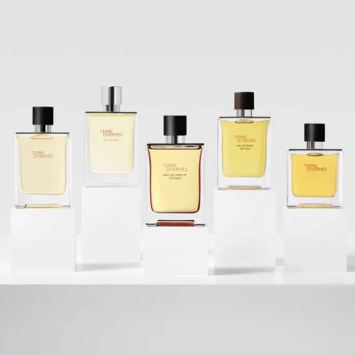 Hermès Terre d’Hermès Eau de Parfum Intense Eau de Parfum von Hermès Outlet
