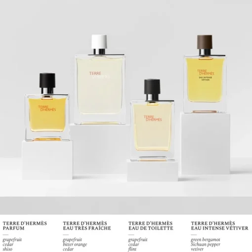 Hermès Terre d’Hermès Parfum Spray von Hermès