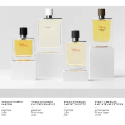 Hermès Terre d’Hermès Parfum Spray von Hermès